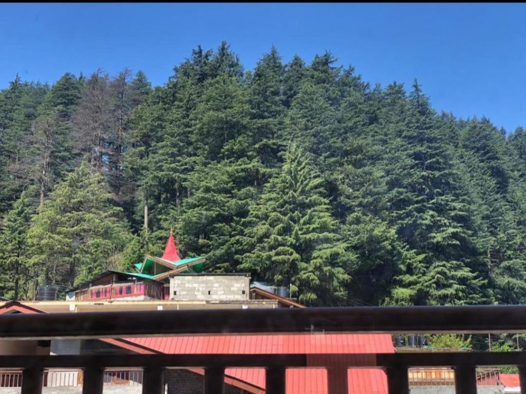 Hotel Hadimba Regency ! Free 4 Wheeler Parking ! Mountain View Rooms ! Near Mall Road Manali Buitenkant foto